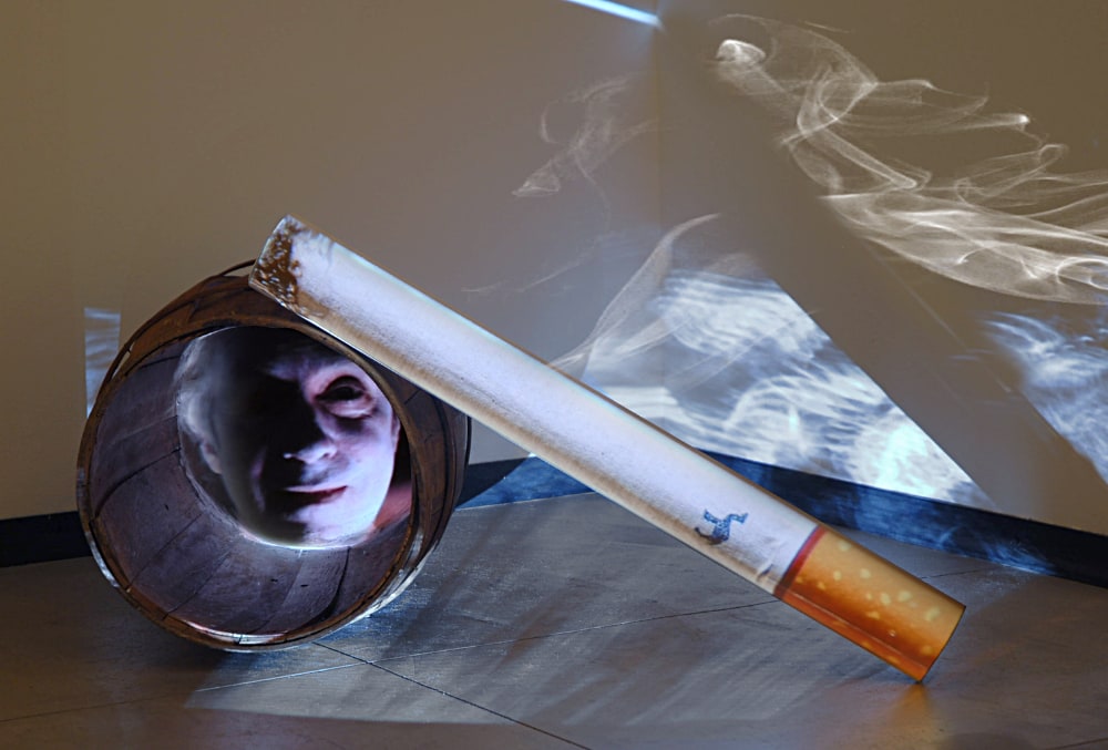 Tony Oursler, Tungsten Hump, 2010, mixed media installation