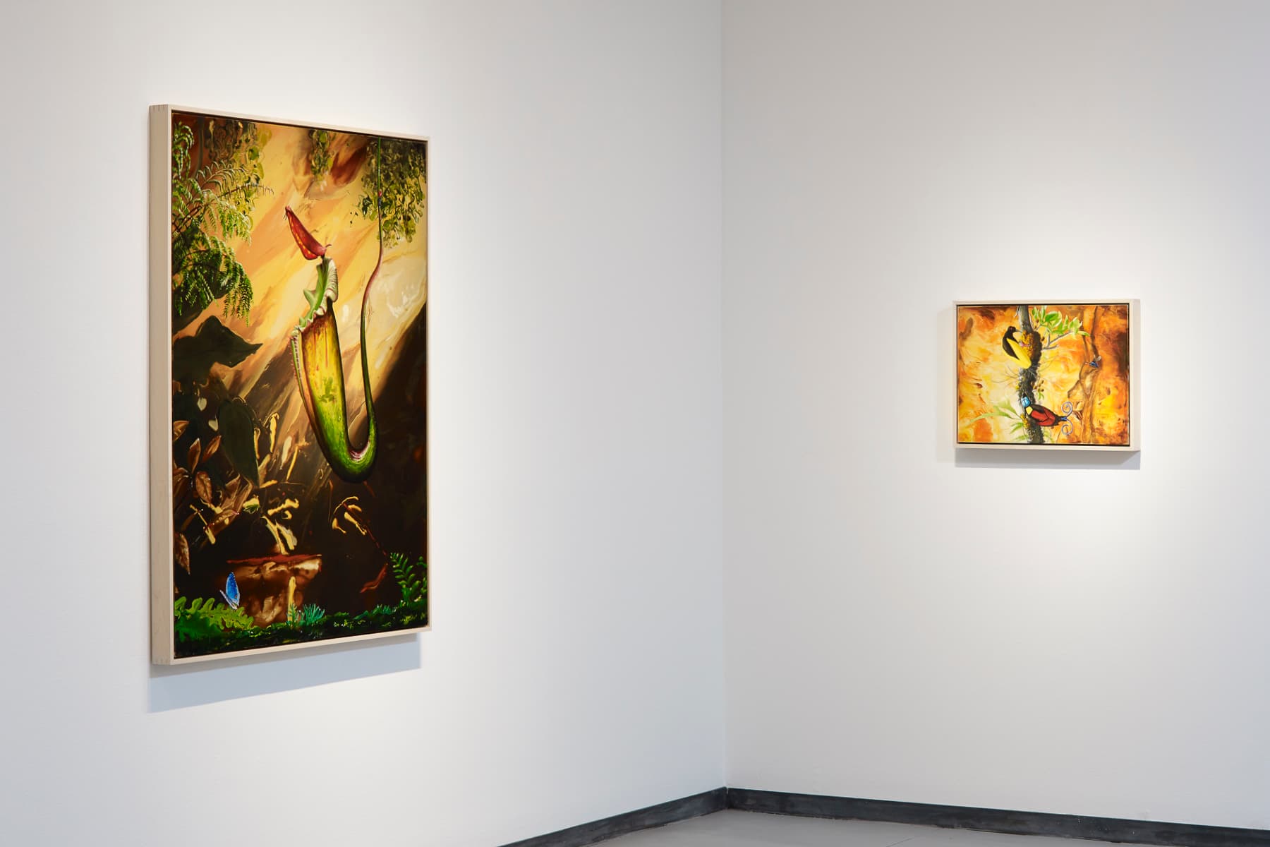 Alexis Rockman, Wallace's Line, installation view, Baldwin Gallery Aspen, 16 March – 15 April, 2018