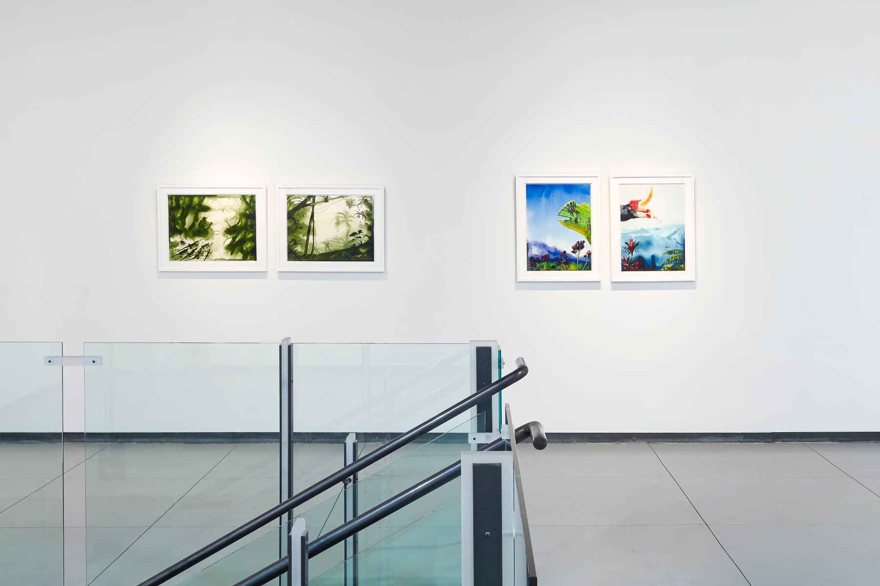 Alexis Rockman, Wallace's Line, installation view, Baldwin Gallery Aspen, 16 March – 15 April, 2018