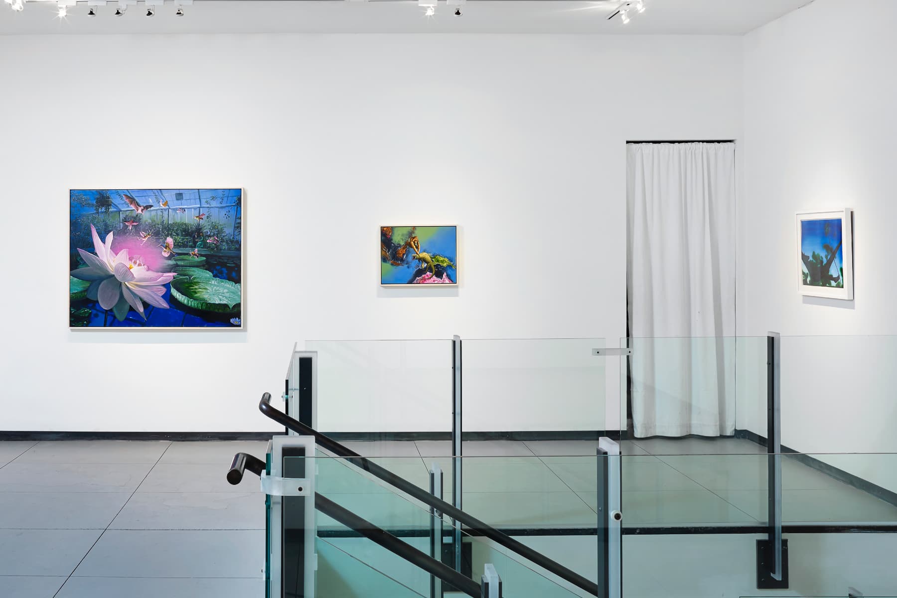 Alexis Rockman, Wallace's Line, installation view, Baldwin Gallery Aspen, 16 March – 15 April, 2018