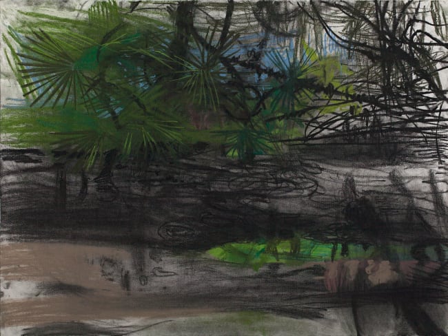 Jim Hodges, no title (nez perce sideways I), 2016. Charcoal and pastel on paper, 22-1/2 × 30 inches