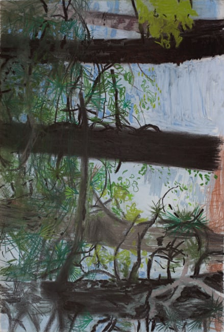 Jim Hodges, no title (nez perce sideways II), 2016. Charcoal and pastel on paper, 30 × 22-1/2 inches