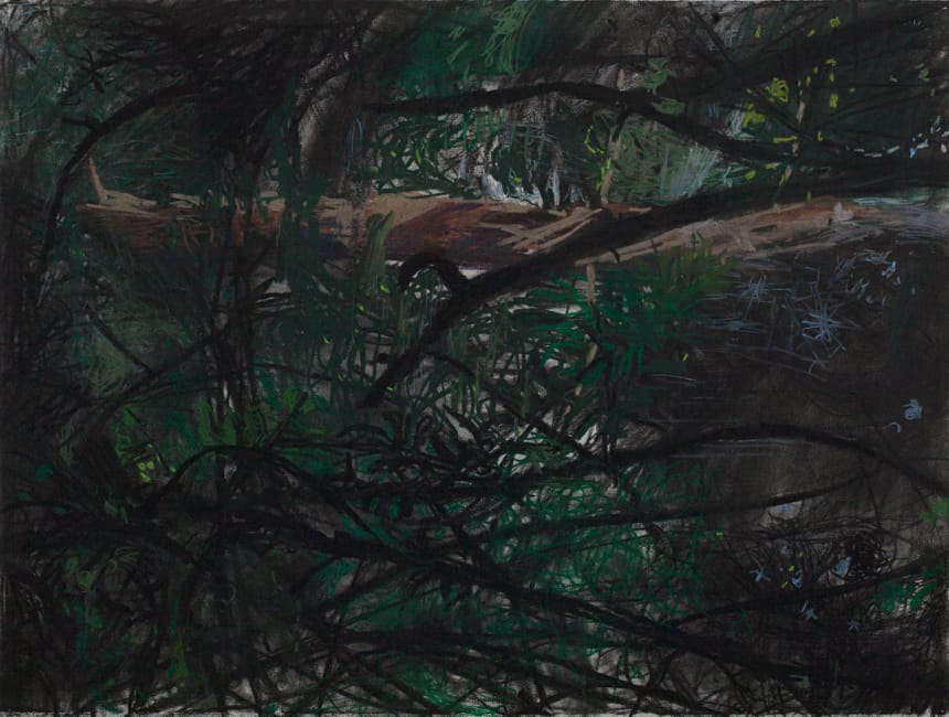 Jim Hodges, no title (nez perce sideways IV), 2016. Charcoal and pastel on paper, 22-1/2 × 30 inches