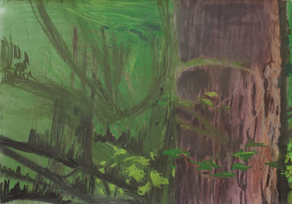 Jim Hodges, no title (nez perce upside down II), 2016. Charcoal and pastel on paper, 22-1/2 × 30 inches