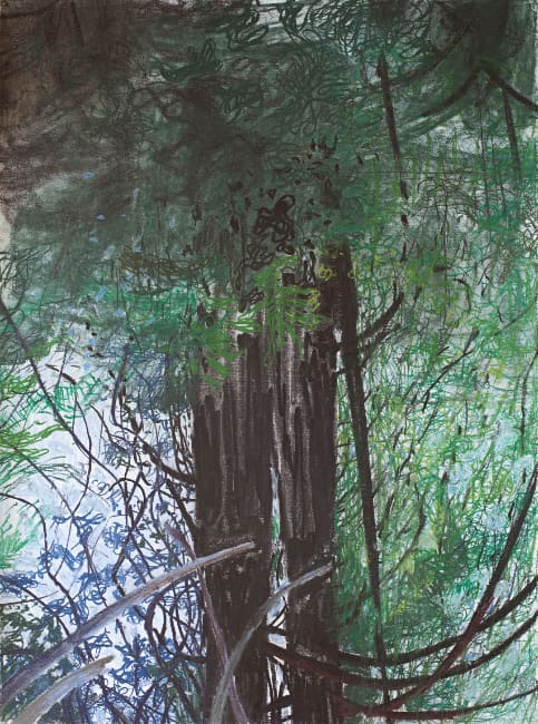 Jim Hodges, no title (nez perce upside down III), 2016. Charcoal and pastel on paper, 30 × 22-1/2 inches