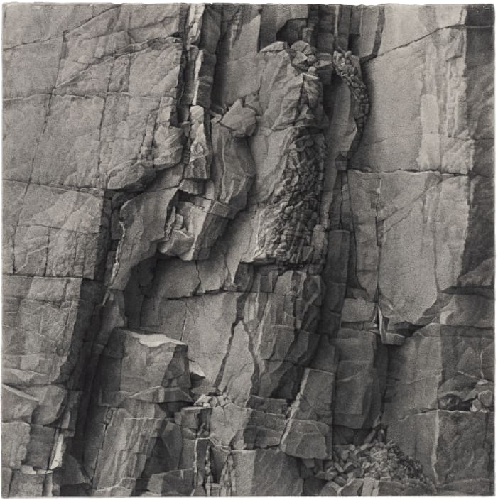 Joseph Stashkevetch, Palisade #1, 2025. Conté crayon on rag paper, 25 × 25 inches