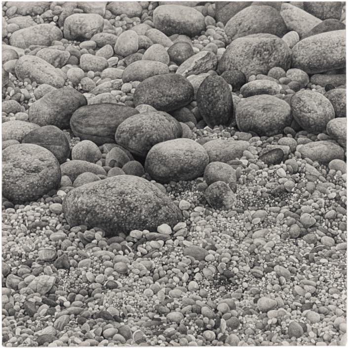 Joseph Stashkevetch, Small Pebble, 2025. Conté crayon on rag paper, 25 × 25 inches